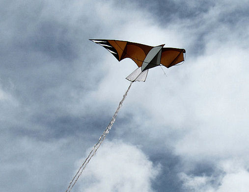 Wat voor een soort vliegers zijn er?