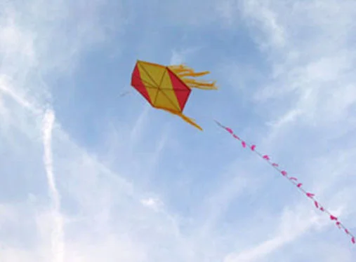 De Surinaamse vechtvlieger