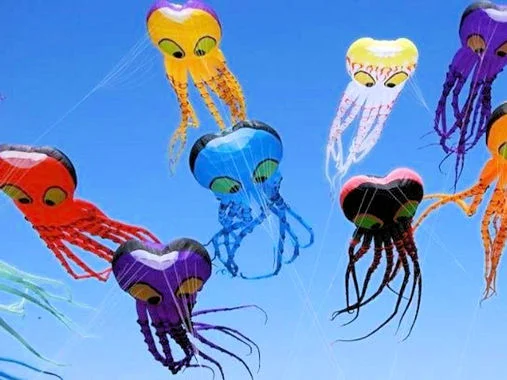 vliegeren is voor iedereen