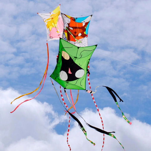 Traditionele vliegers, Azië