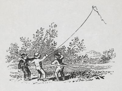 De Vliegersport. Laatst toegevoegde