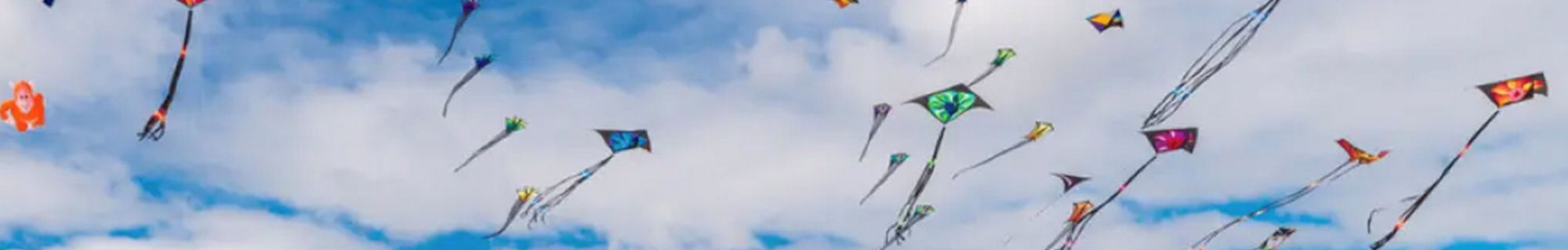 zonder tegen wind gaat een vlieger niet op