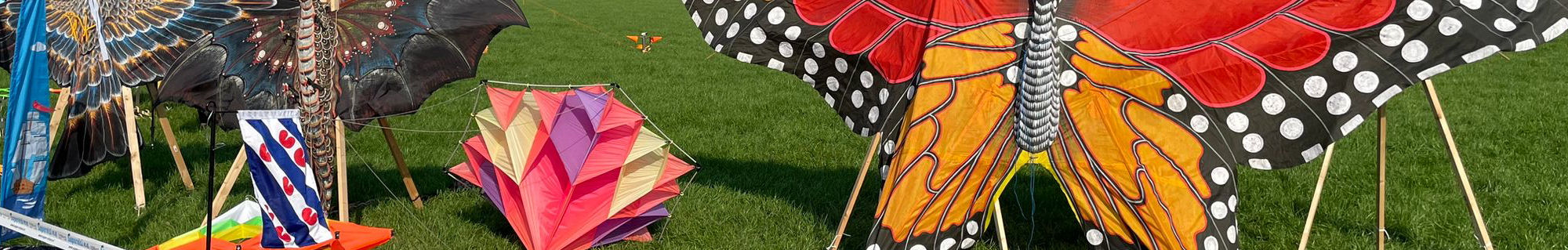 Techniek van de vlieger