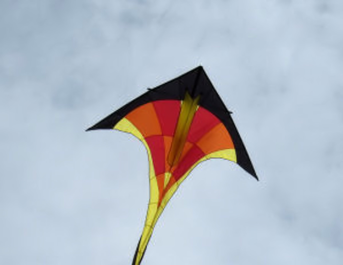 Welke vlieger is geschikt voor een beginner?